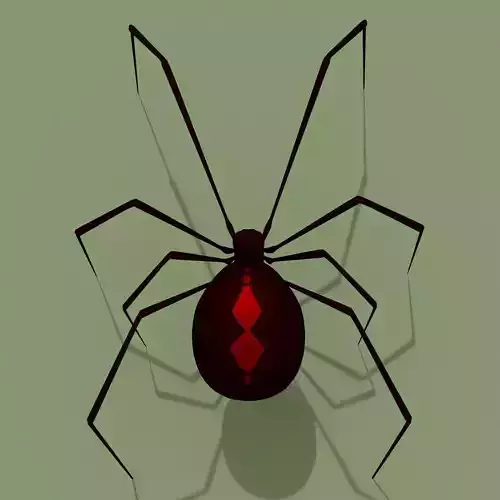 Black Widow Spider 3D model