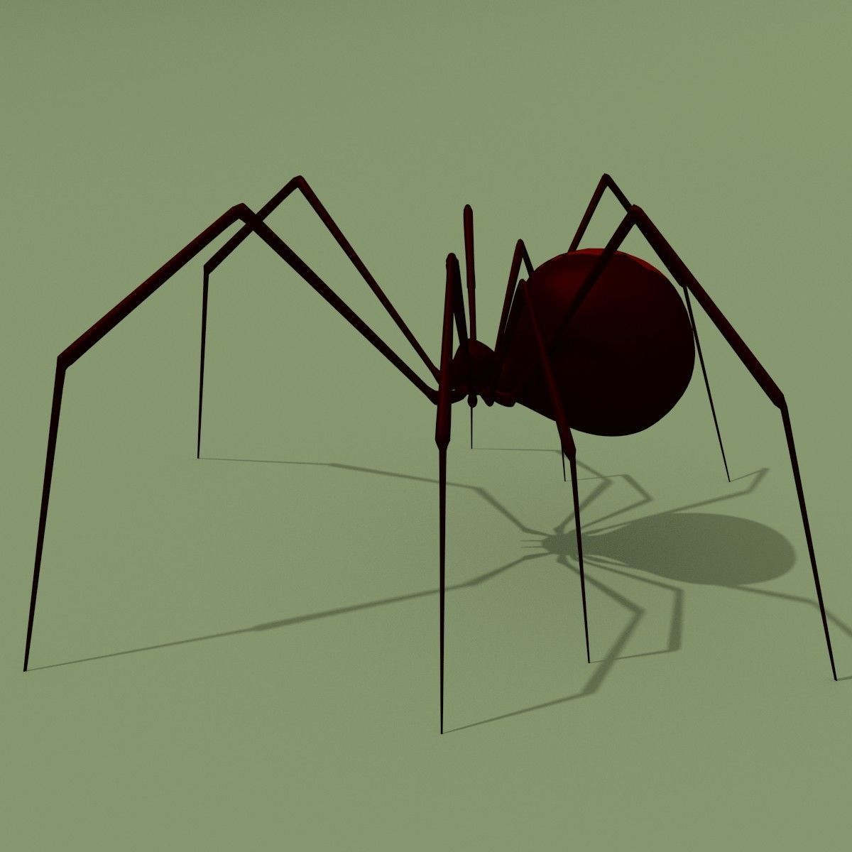 Black Widow Spider 3D model_1
