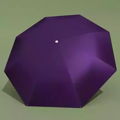 Purple Umbrella 3D model