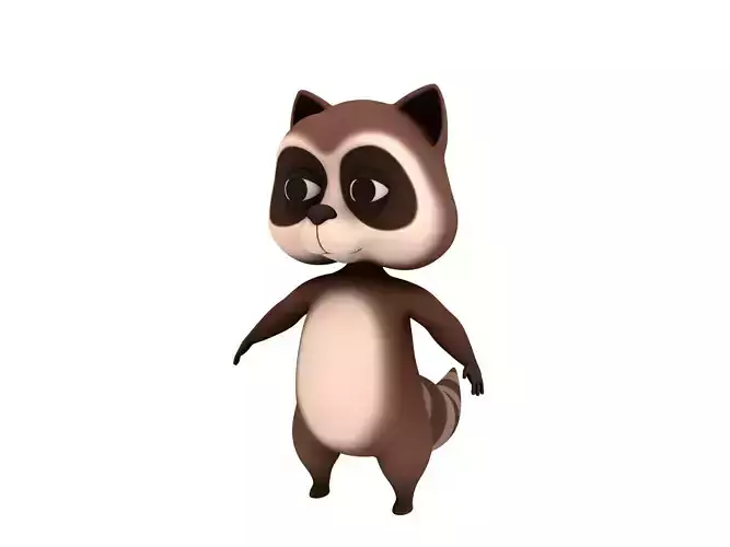 Raccoon Character