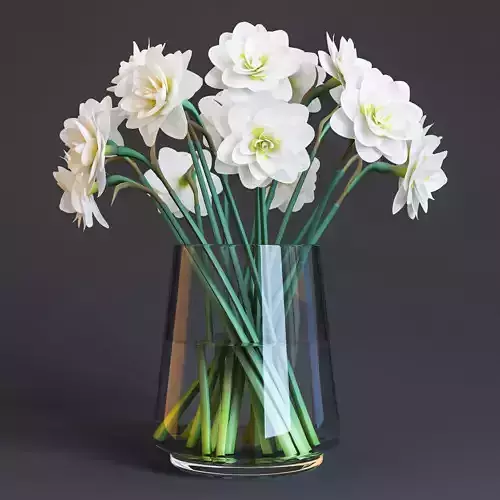 Narcissus daffodils in vase