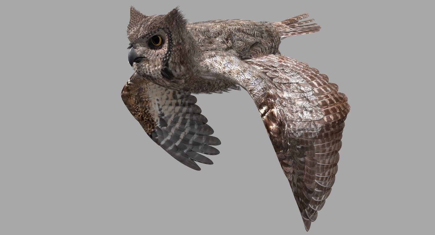 Great Horned Owl - rigged - animated - PBR - VRAY - Standard 3D model_21
