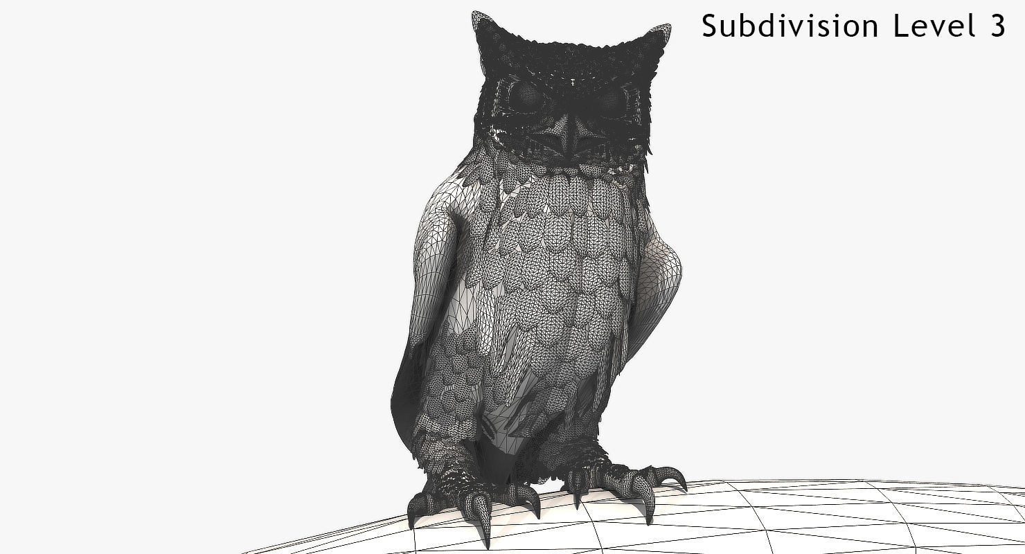 Great Horned Owl - rigged - animated - PBR - VRAY - Standard 3D model_9