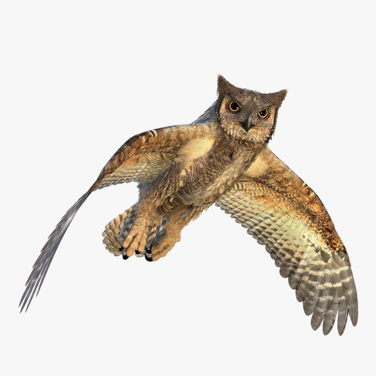 Great Horned Owl - rigged - animated - PBR - VRAY - Standard 3D model_5