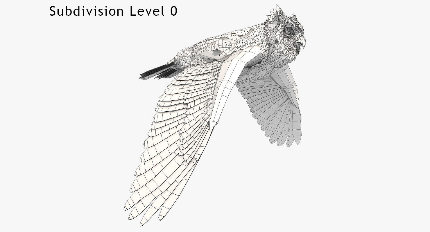 Great Horned Owl - rigged - animated - PBR - VRAY - Standard 3D model_17