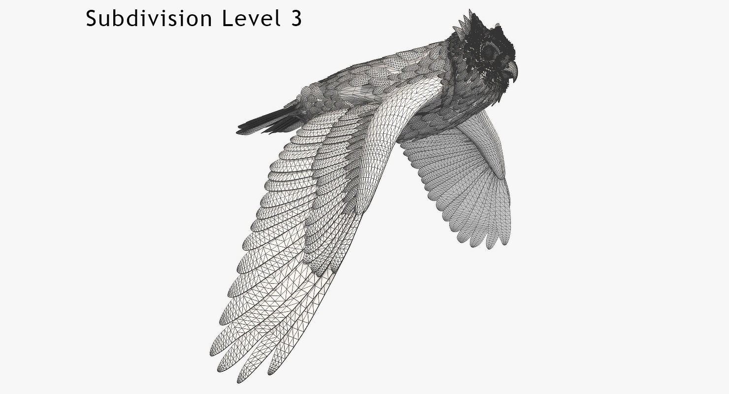 Great Horned Owl - rigged - animated - PBR - VRAY - Standard 3D model_16