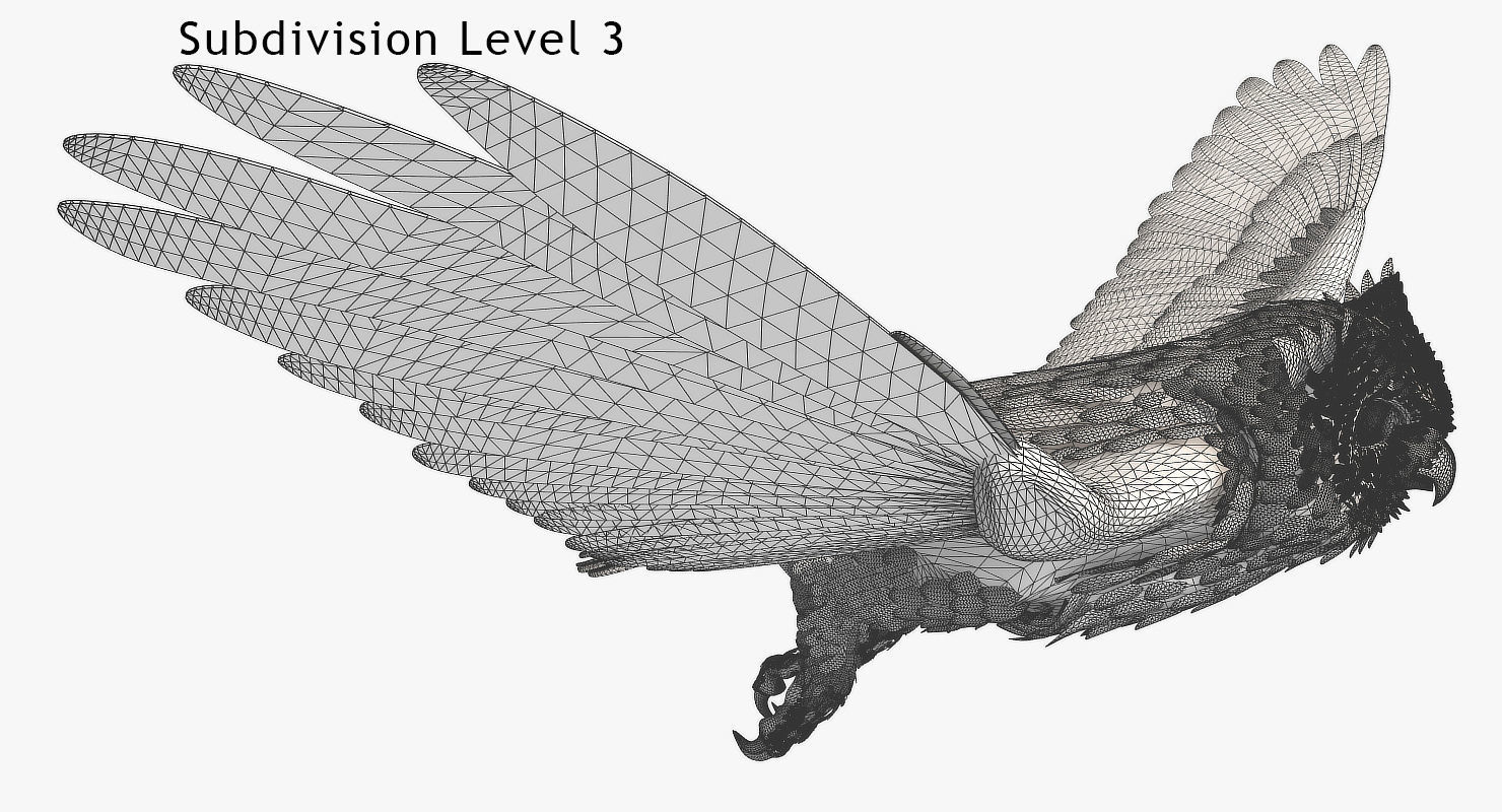 Great Horned Owl - rigged - animated - PBR - VRAY - Standard 3D model_19