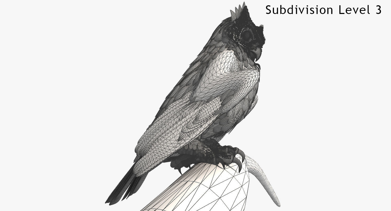 Great Horned Owl - rigged - animated - PBR - VRAY - Standard 3D model_13