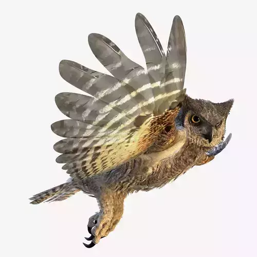 Great Horned Owl - rigged - animated - PBR - VRAY - Standard 3D model