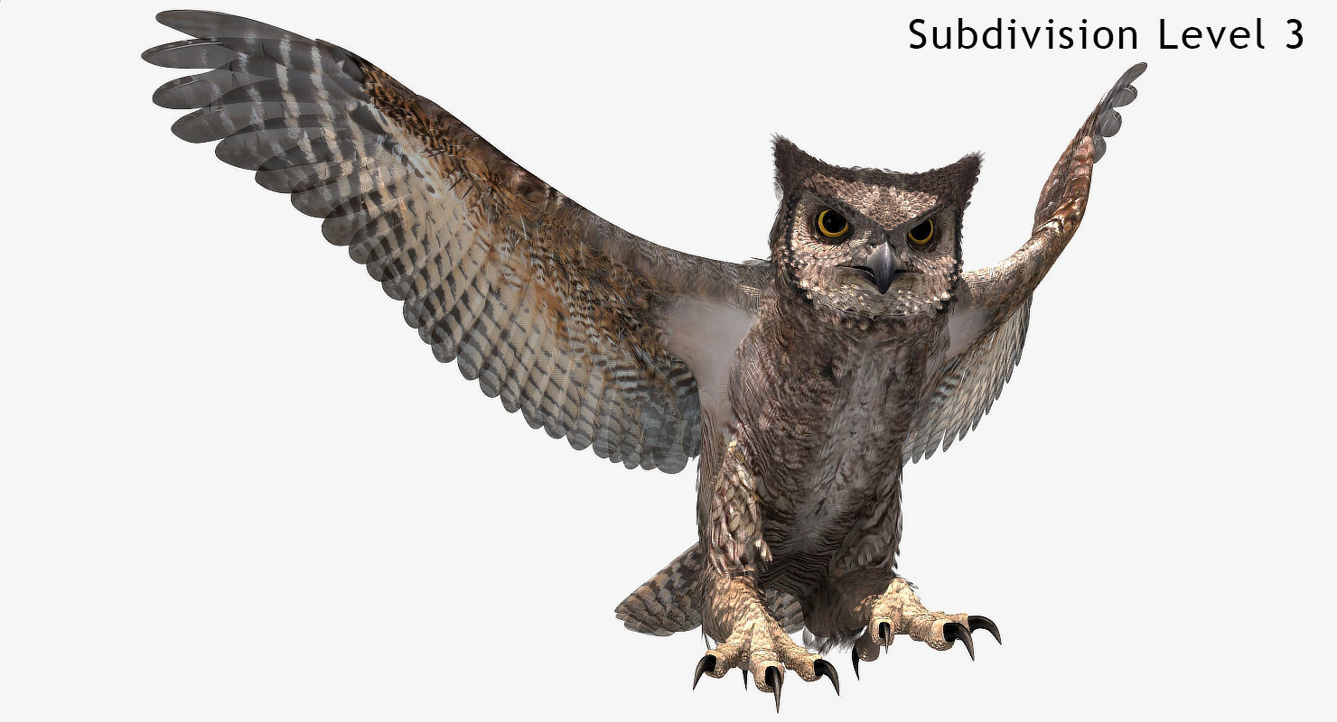 Great Horned Owl - rigged - animated - PBR - VRAY - Standard 3D model_28