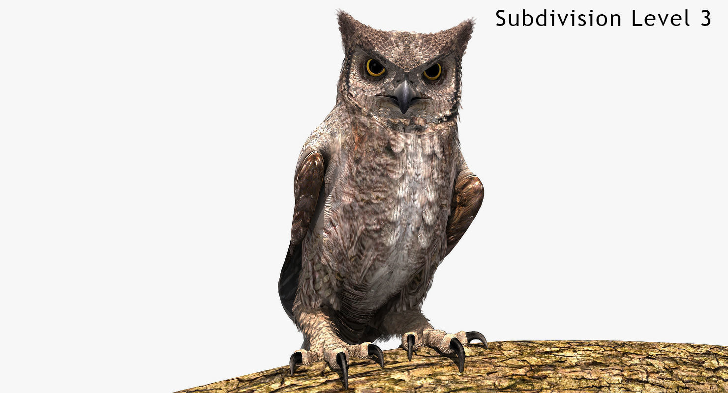 Great Horned Owl - rigged - animated - PBR - VRAY - Standard 3D model_10