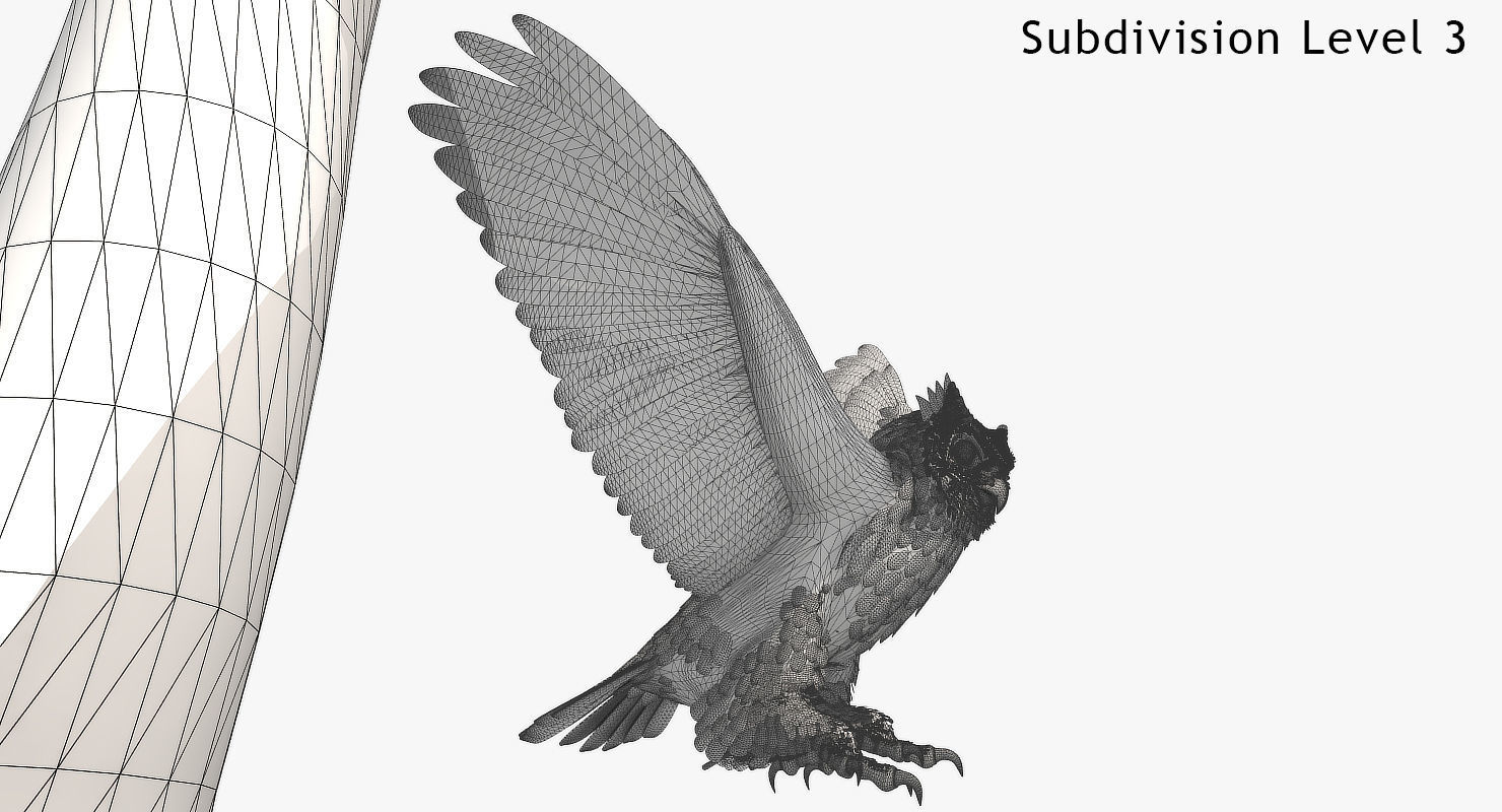 Great Horned Owl - rigged - animated - PBR - VRAY - Standard 3D model_26