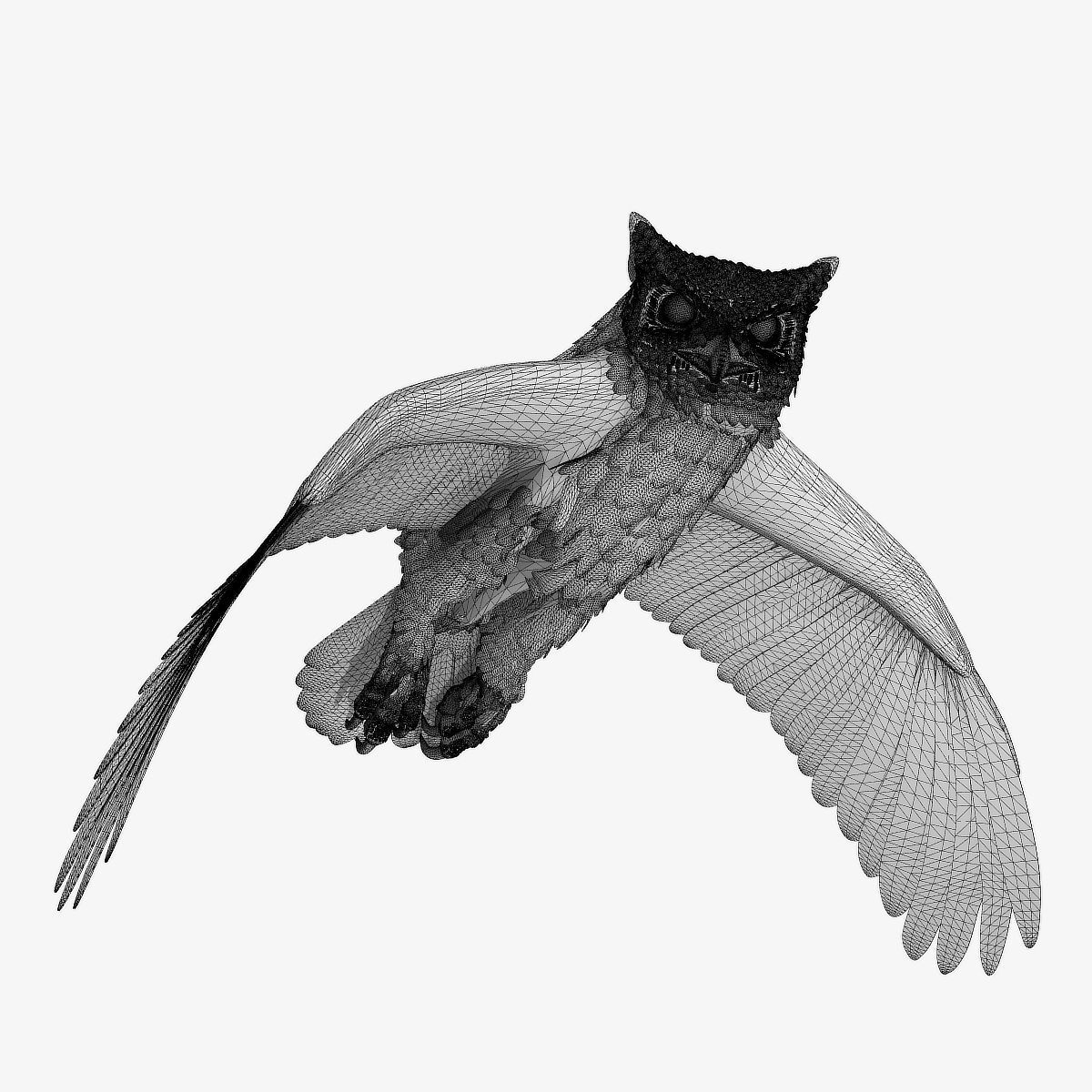 Great Horned Owl - rigged - animated - PBR - VRAY - Standard 3D model_6