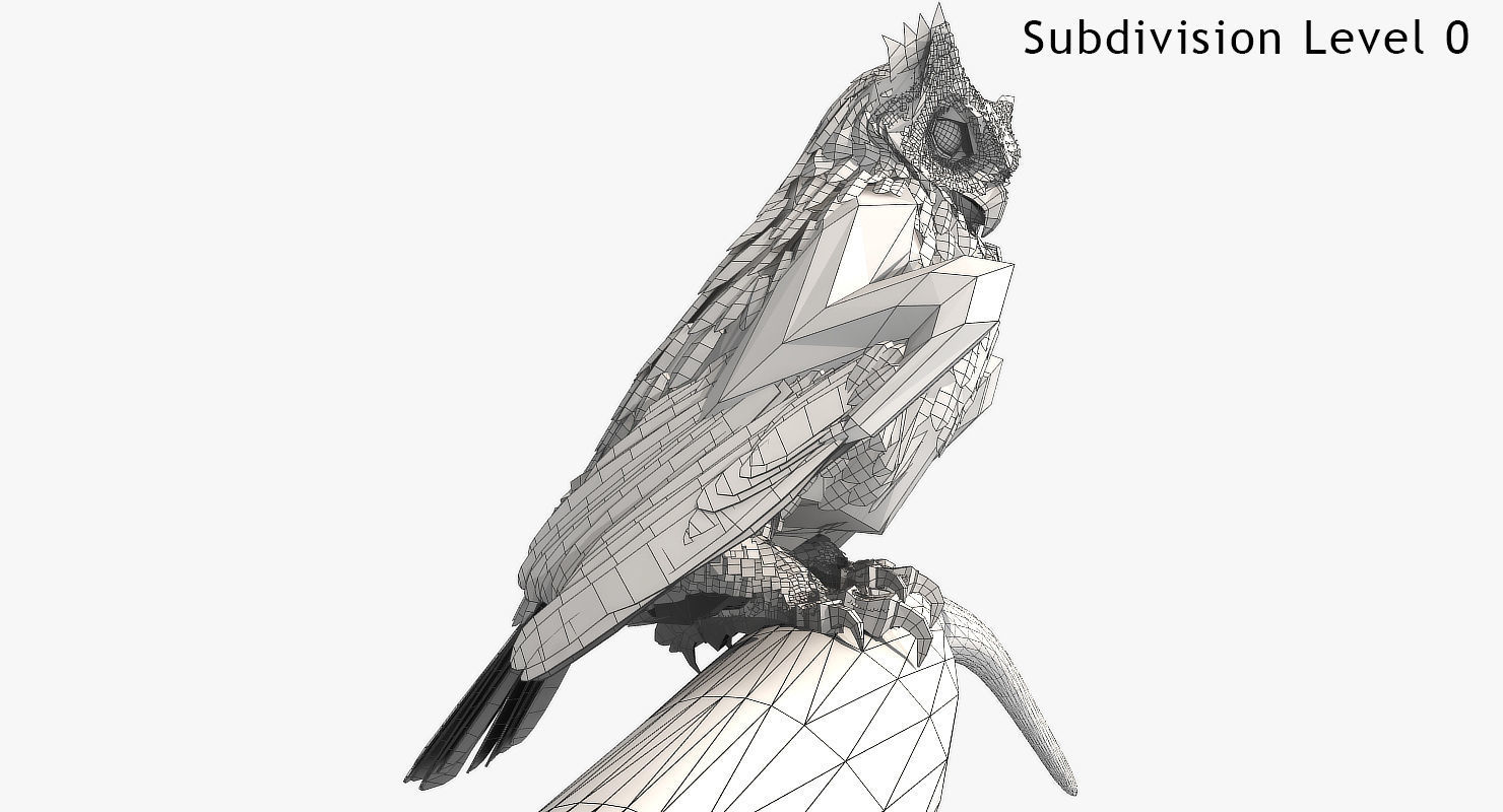 Great Horned Owl - rigged - animated - PBR - VRAY - Standard 3D model_14
