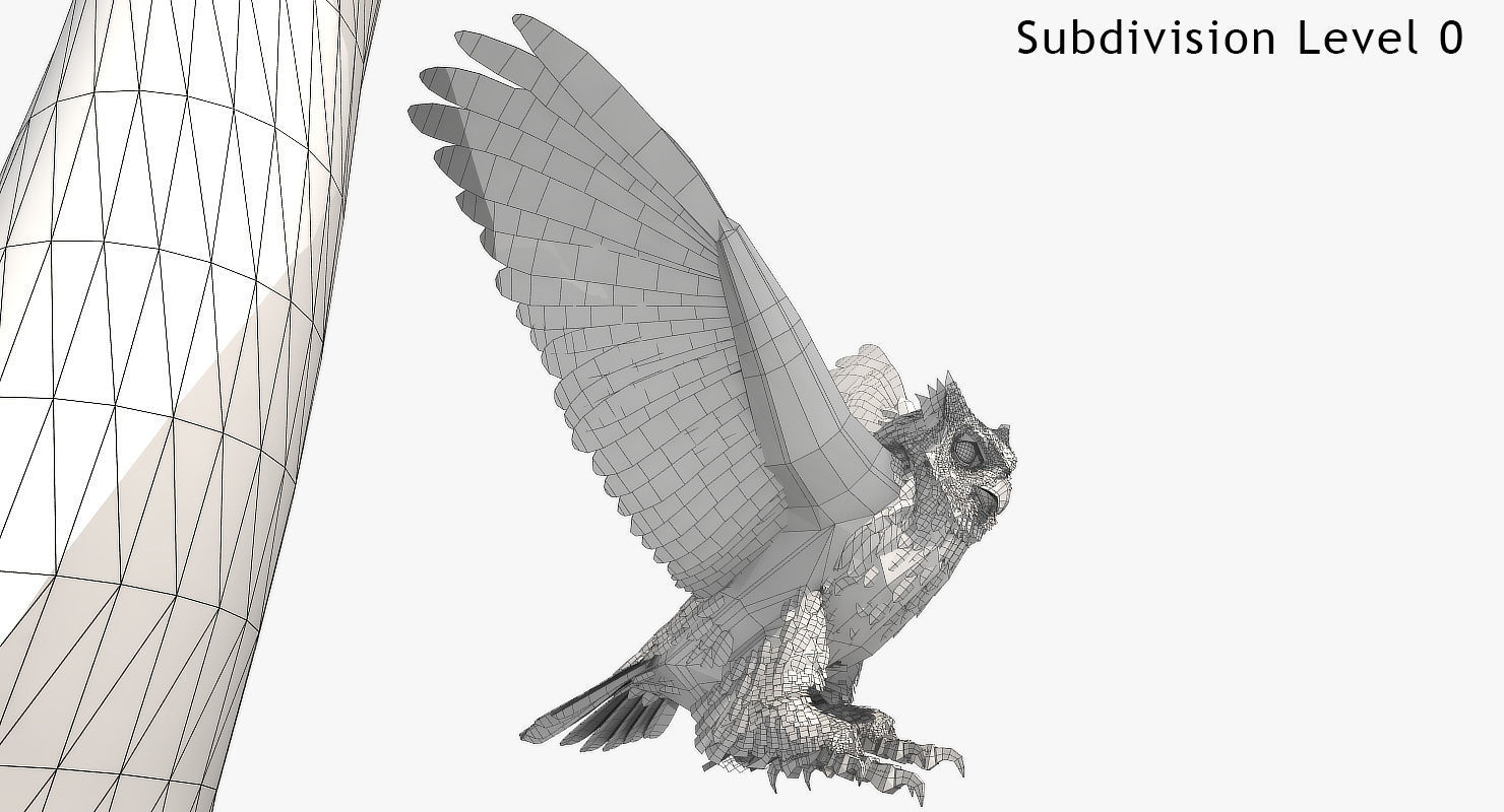 Great Horned Owl - rigged - animated - PBR - VRAY - Standard 3D model_27