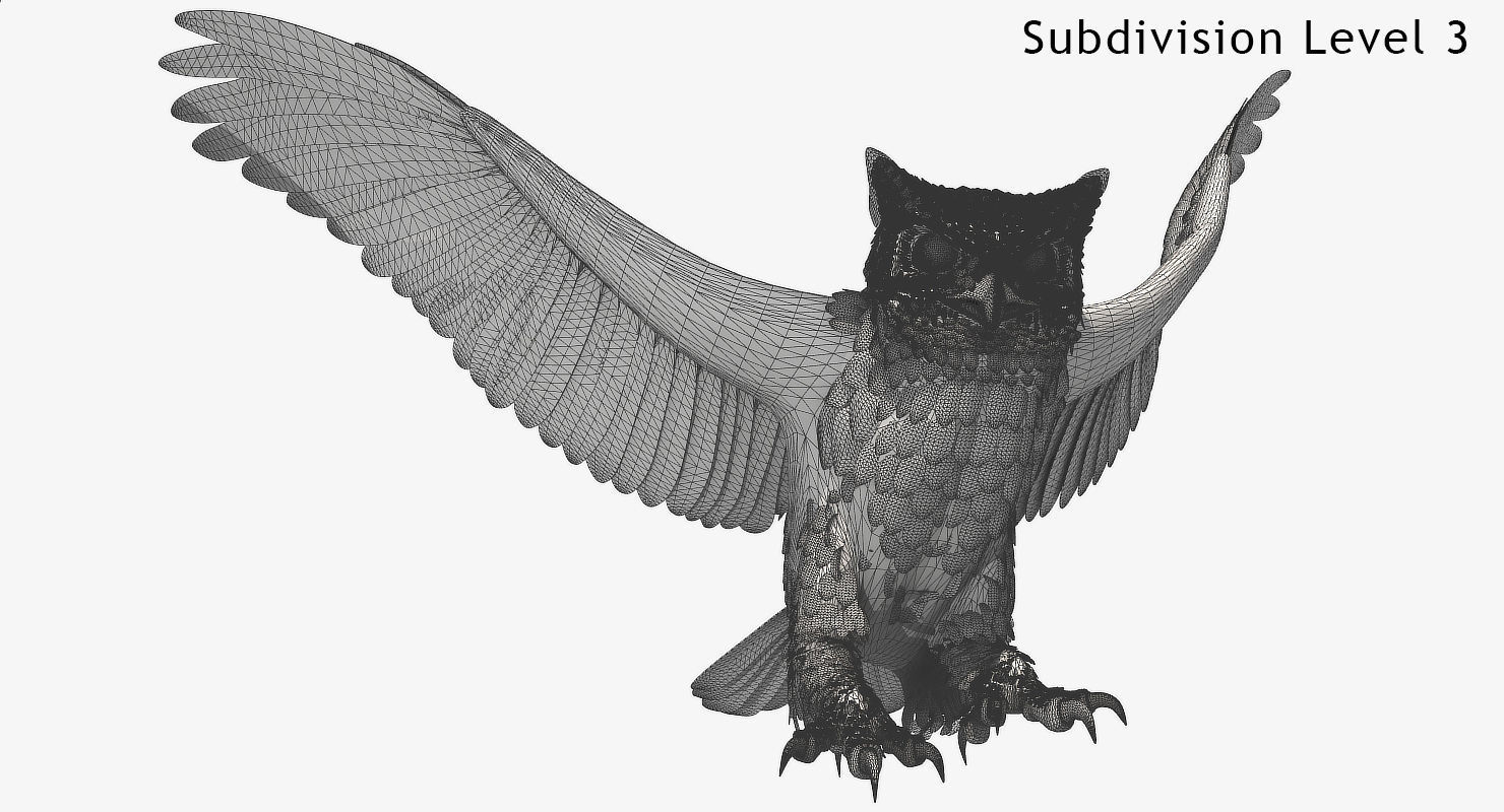 Great Horned Owl - rigged - animated - PBR - VRAY - Standard 3D model_29