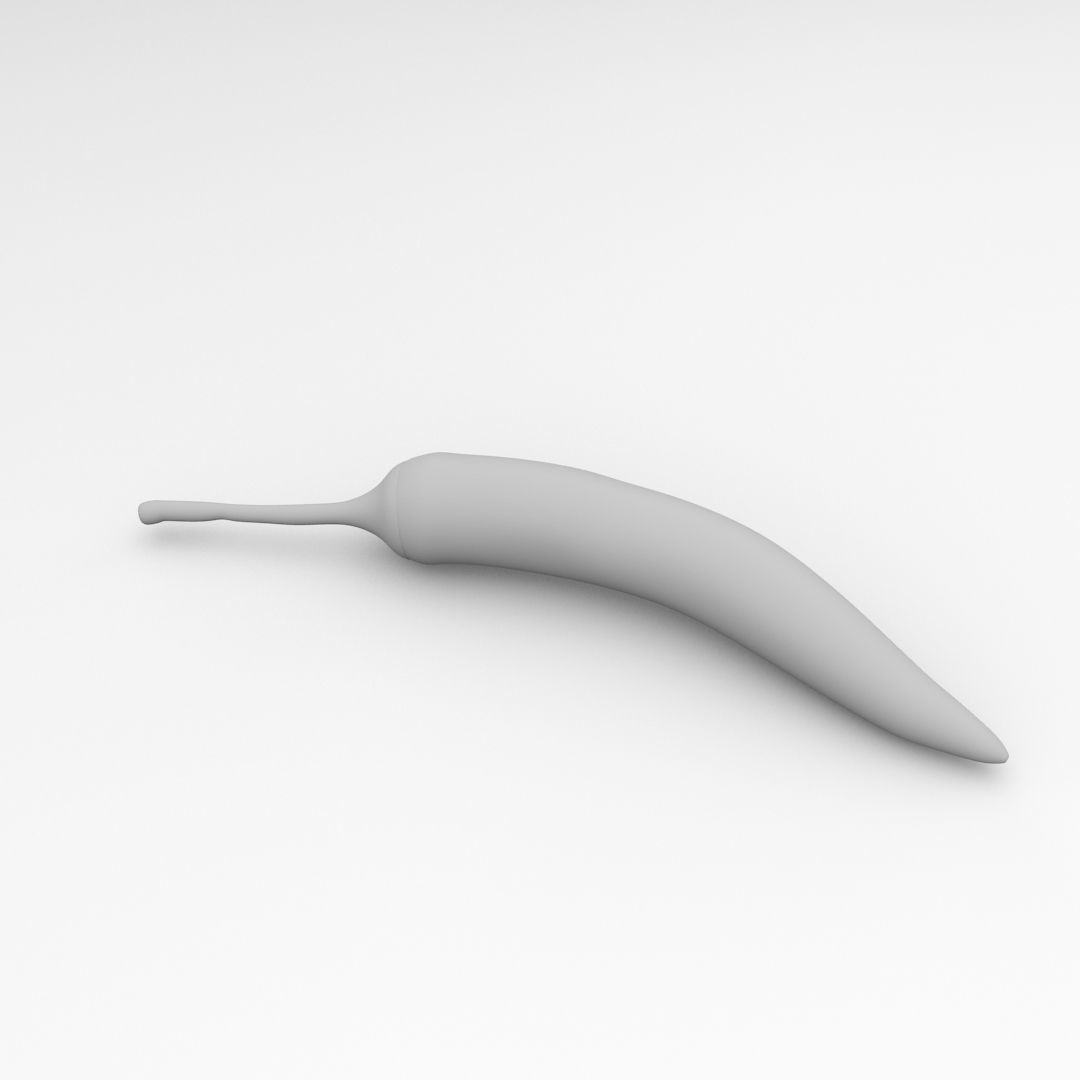 Chilli pepper 3D model_3