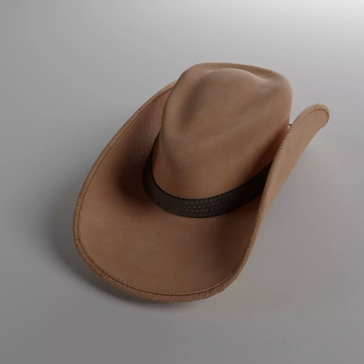 Cowboy Hat Low-poly 3D model_0
