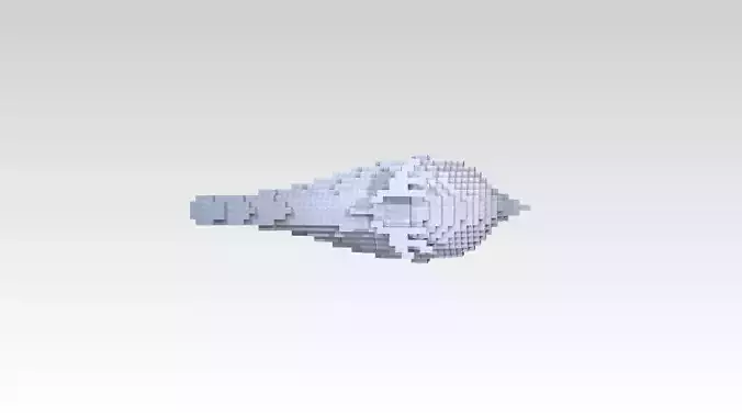 Swallow Voxel
