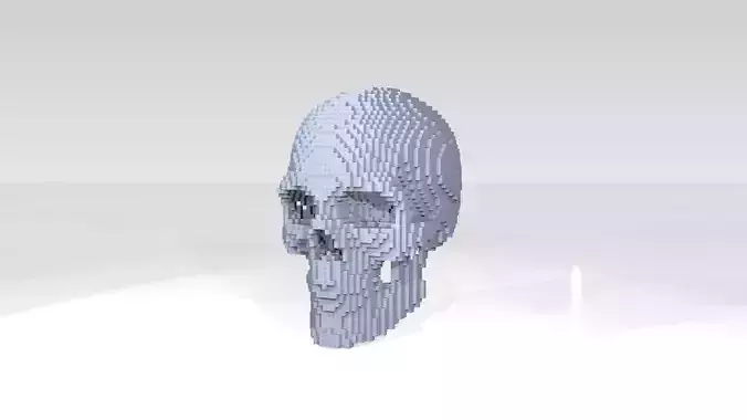 Skull Voxel