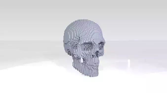 Skull Voxel