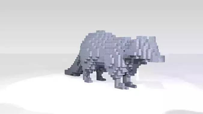 Raccoon Voxel