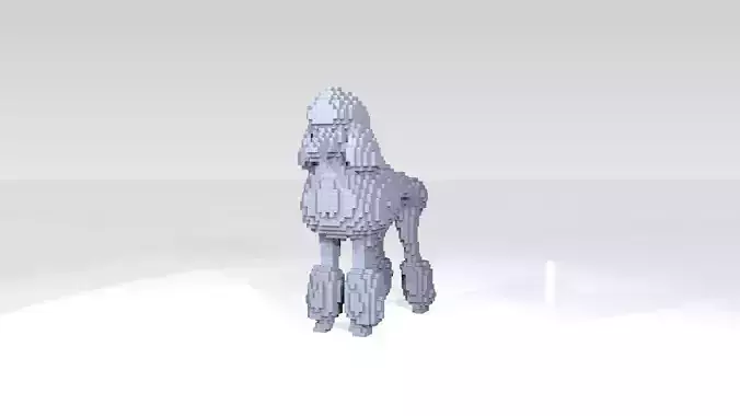 Poodle Voxel