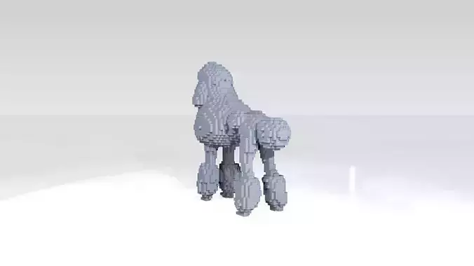 Poodle Voxel