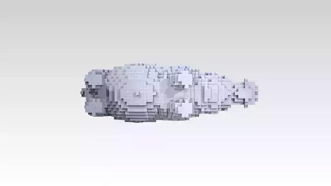 Hippo Voxel