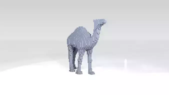 Dromedary Voxel