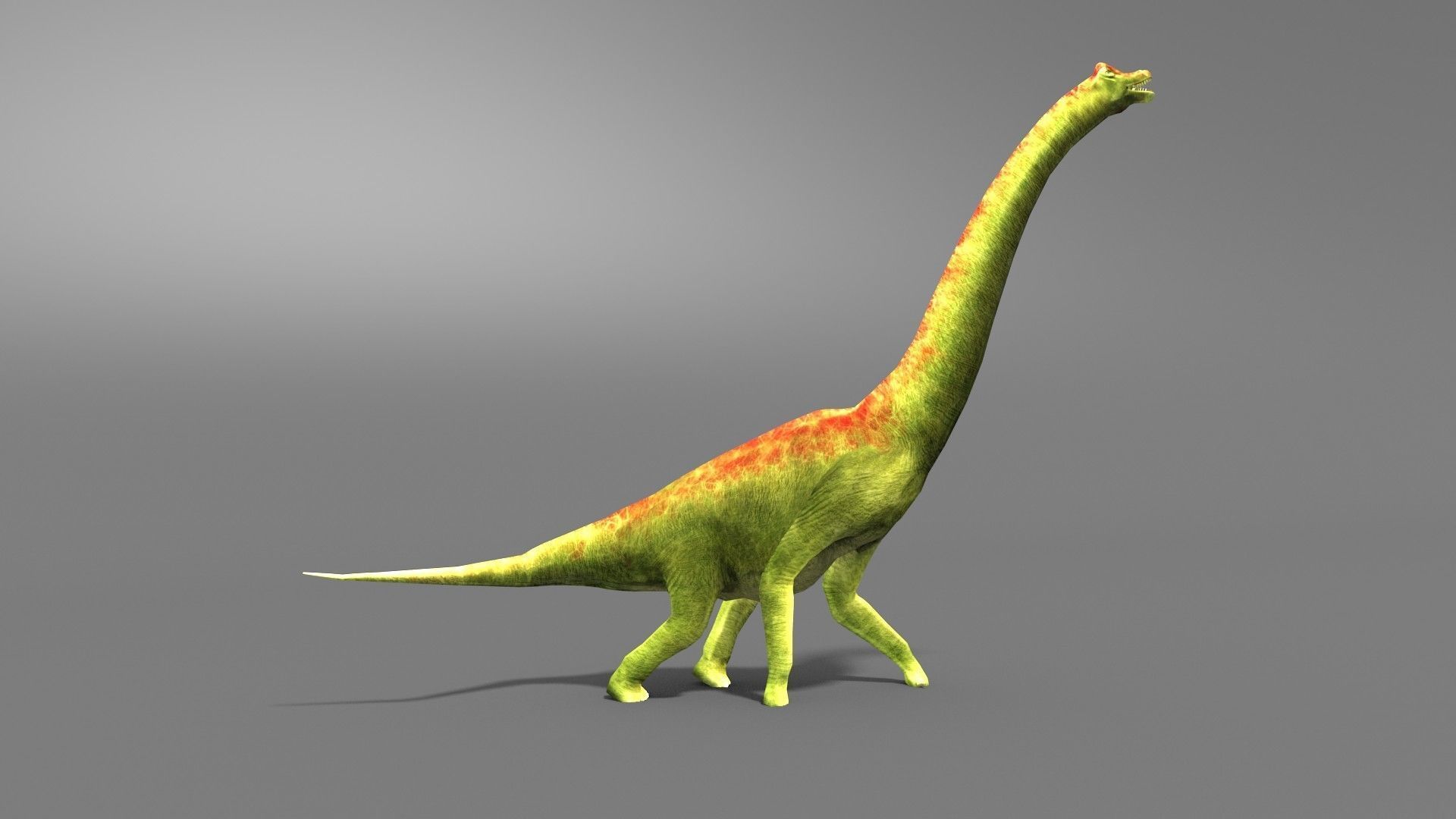 Brachiosaurus Jurassic Dinosaur Low-poly 3D model_3