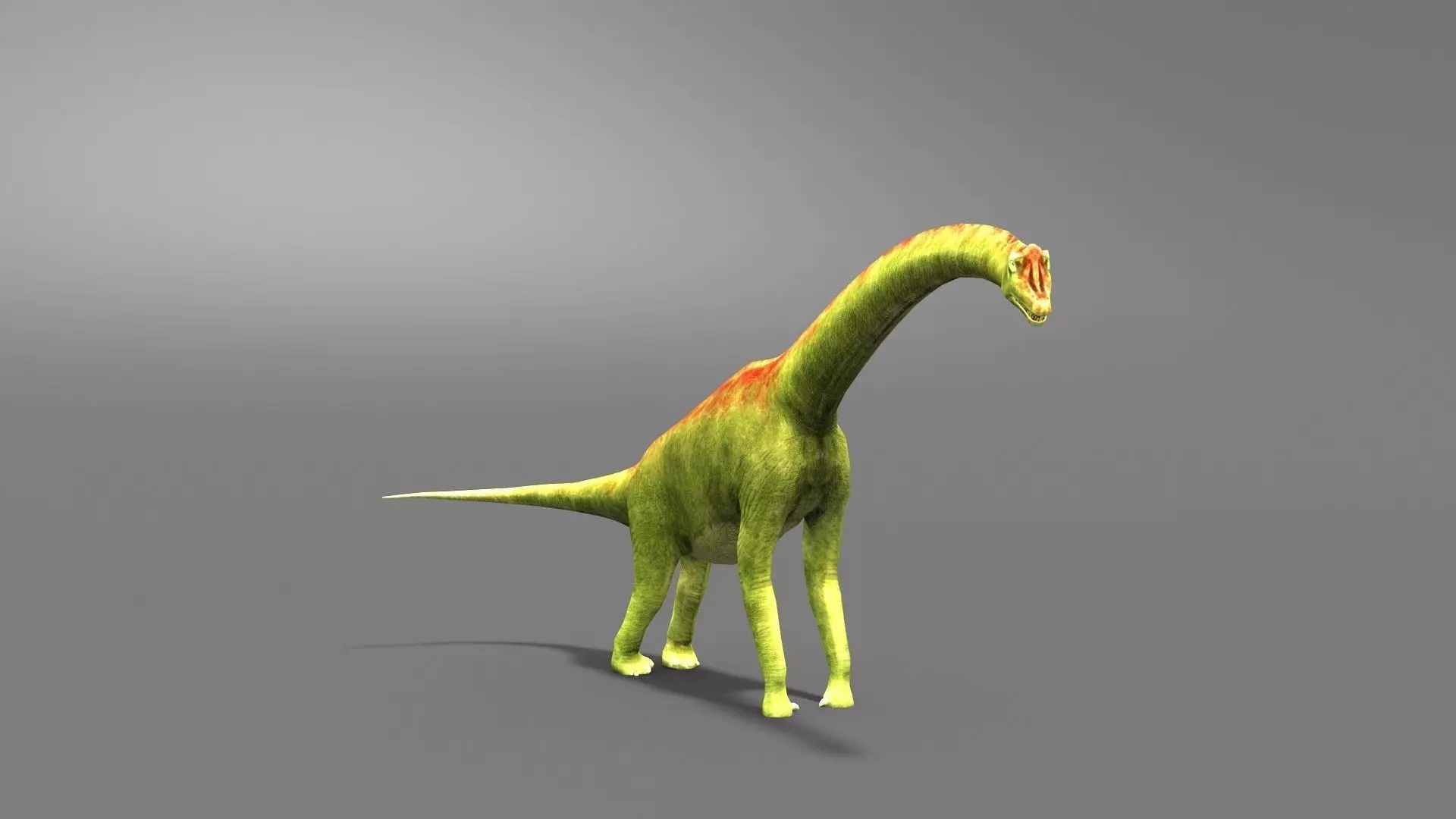 Brachiosaurus Jurassic Dinosaur Low-poly 3D model_0