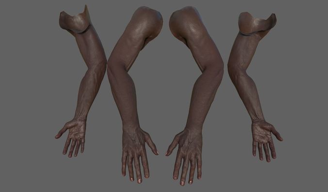 FPS Arms Black rigged low poly pbr VR Low-poly 3D model