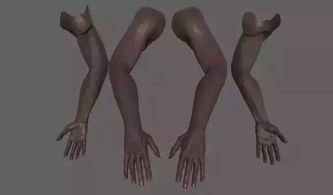 FPS Arms Black rigged low poly pbr VR Low-poly 3D model