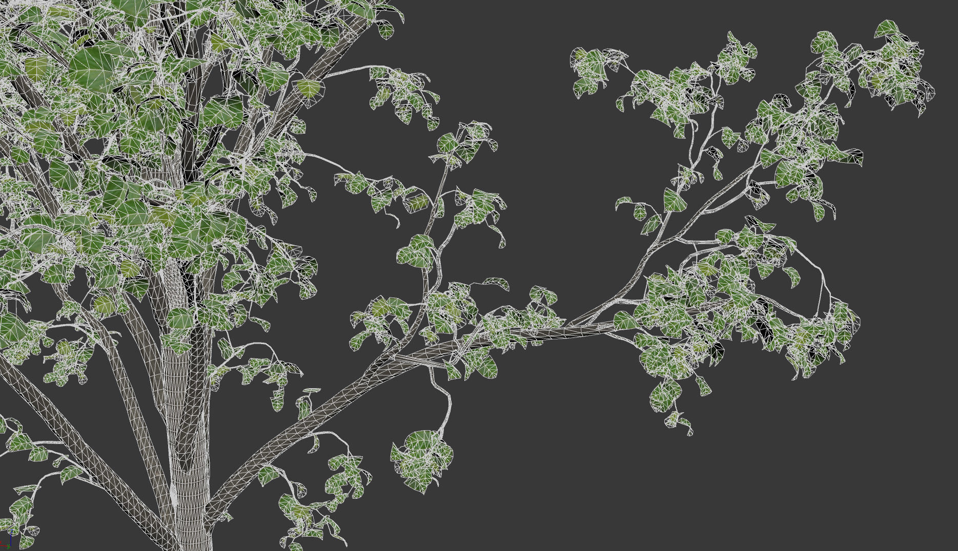 Animated trees for architectural visualization 3D model_5