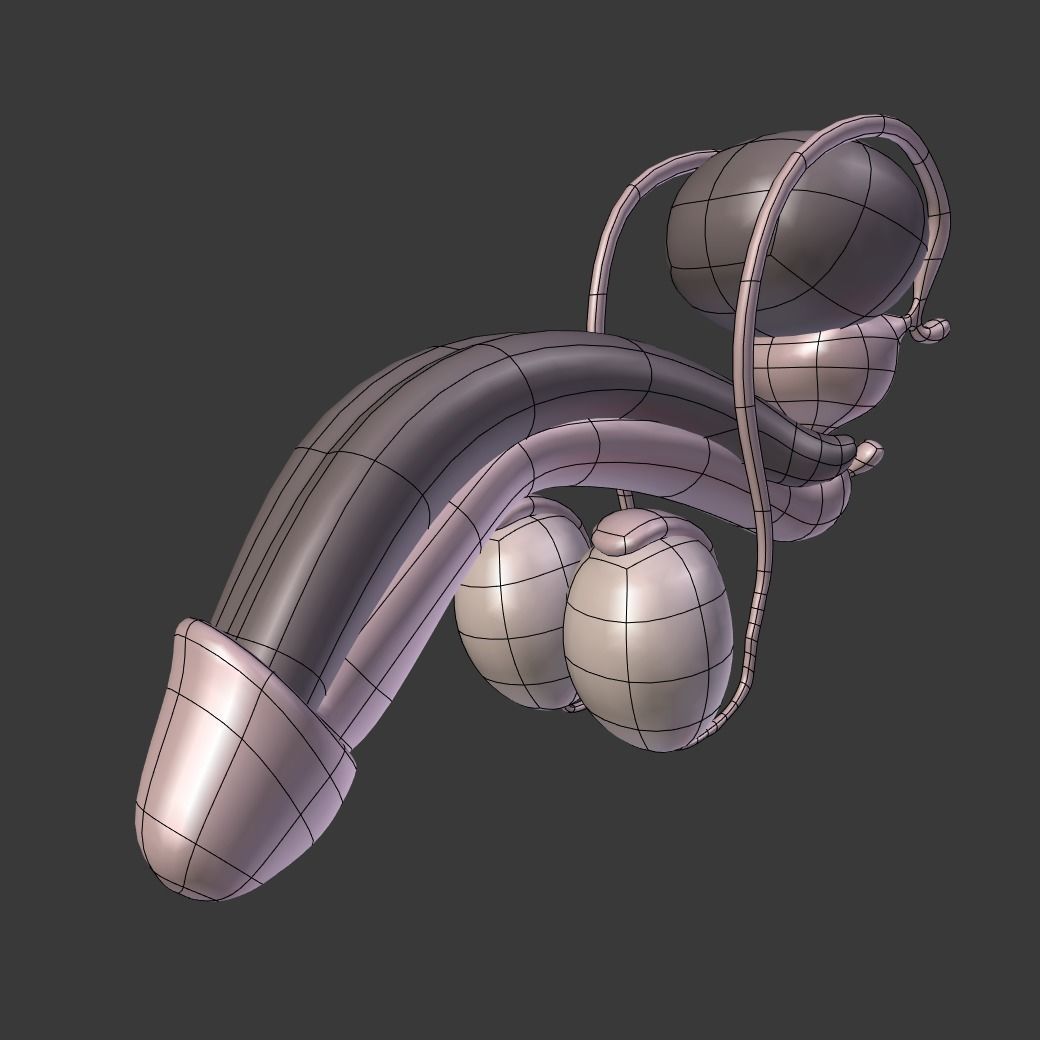 Male Reproductive System Low-poly 3D model_4