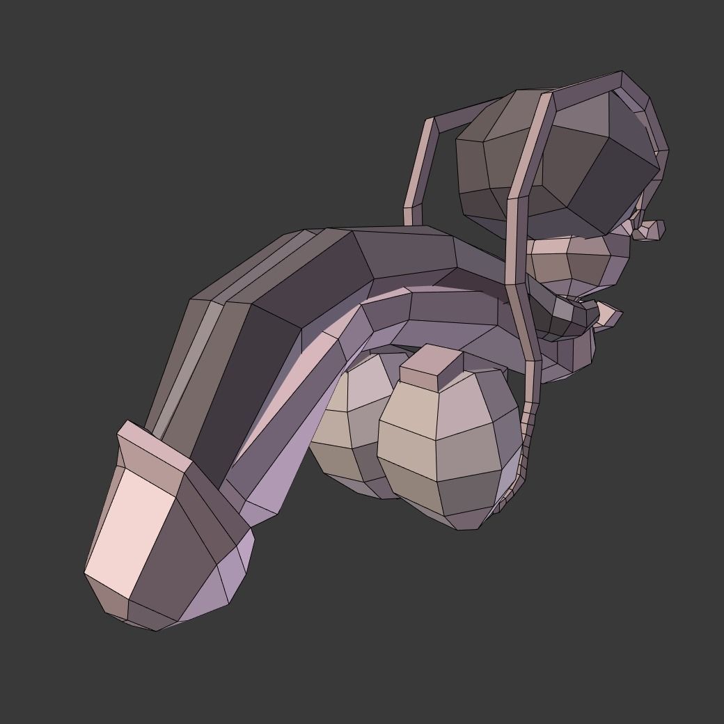 Male Reproductive System Low-poly 3D model_1