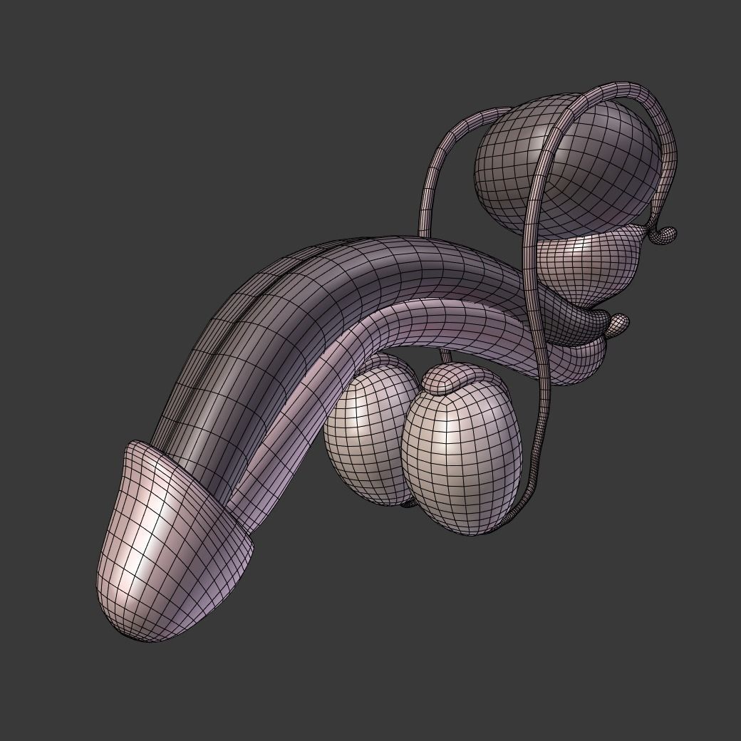 Male Reproductive System Low-poly 3D model_5