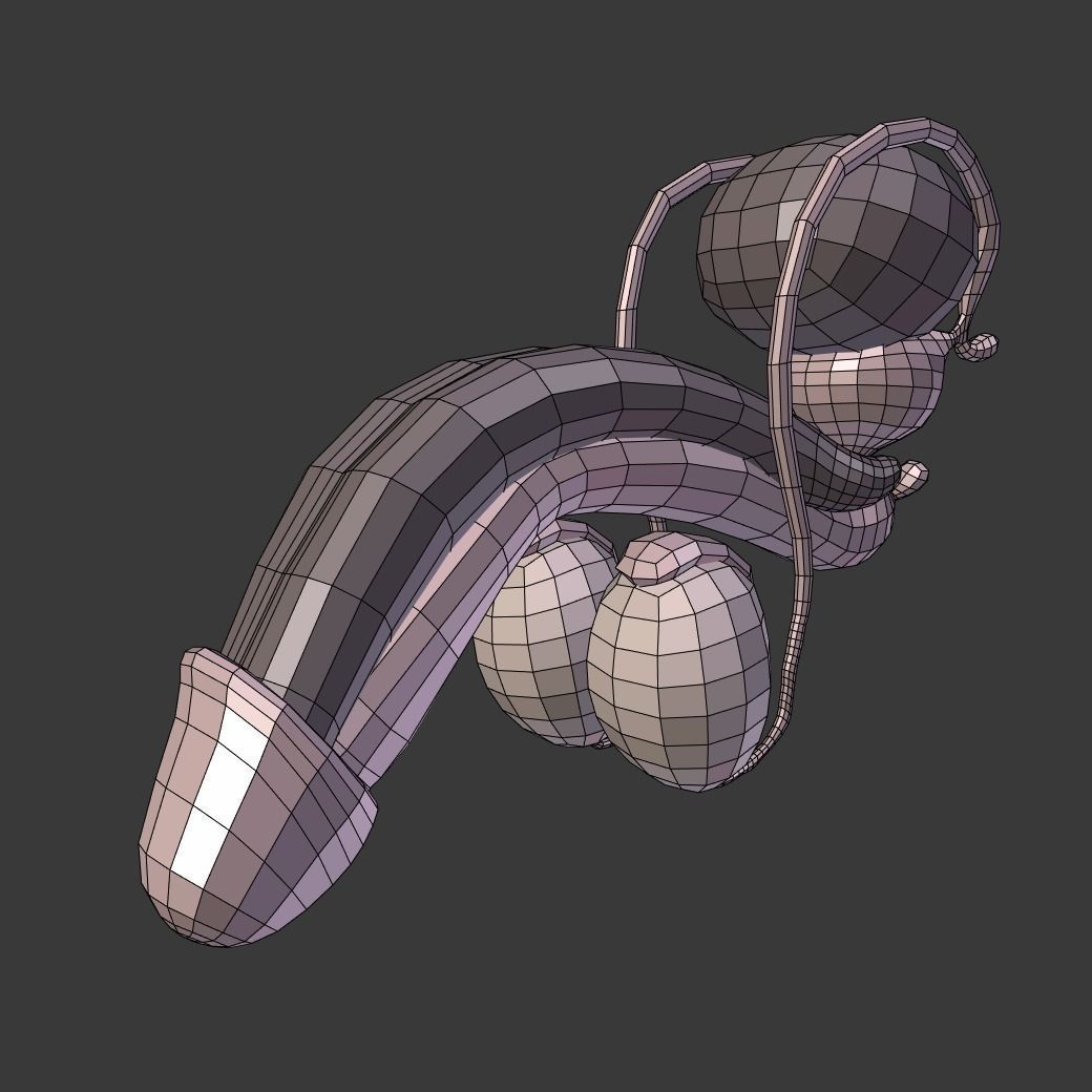 Male Reproductive System Low-poly 3D model_3