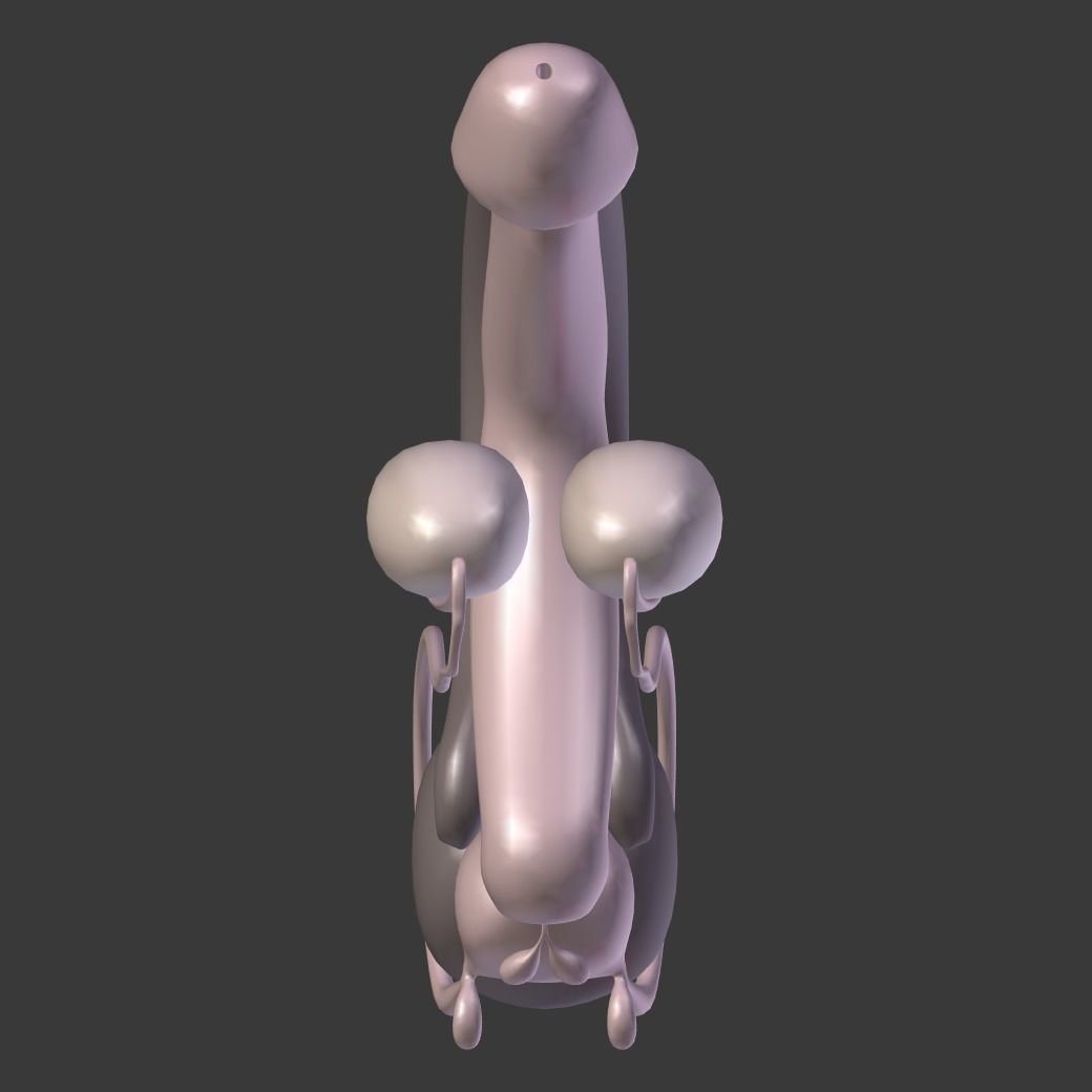 Male Reproductive System Low-poly 3D model_8