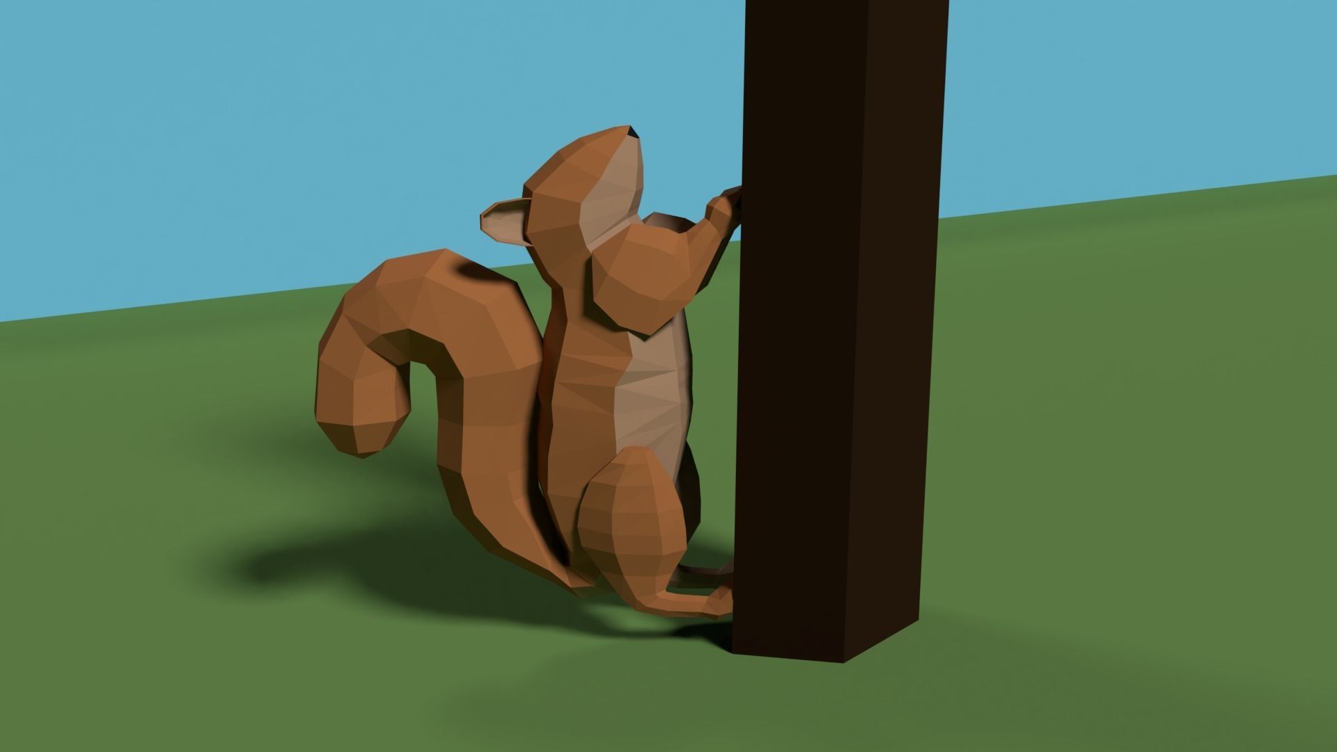 Low poly rigged SQUIRREL Low-poly 3D model_1