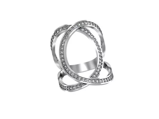 Ring plexus 3D print model