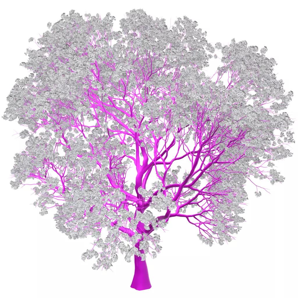 SAKURA3 桜3 Sakura 3 cherry blossom tree 3D model | CGTrader