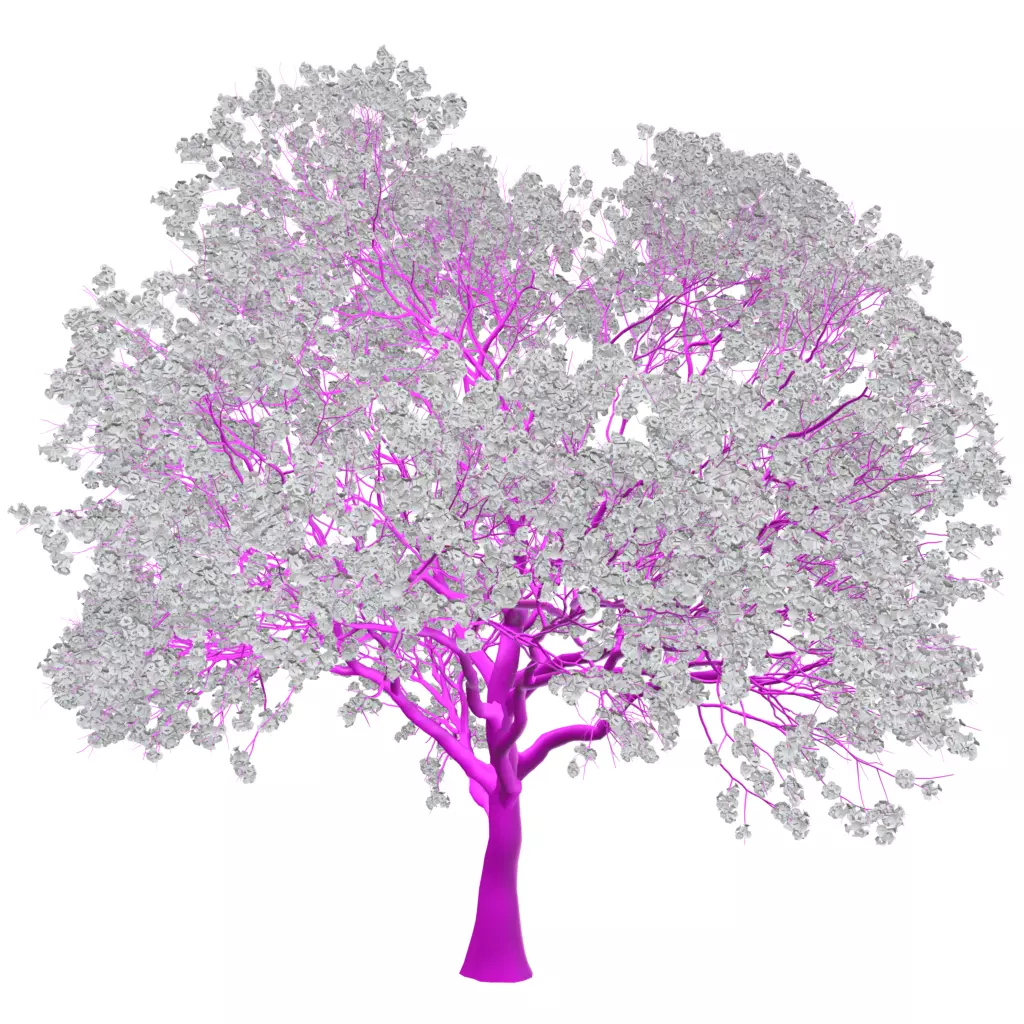 Sakura 5 cherry blossom tree 3D model | CGTrader