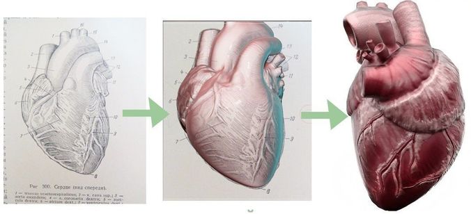 high-poly heart for 3D print 3D print model