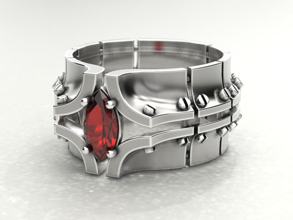 Ring bolted plates 3D print model_15