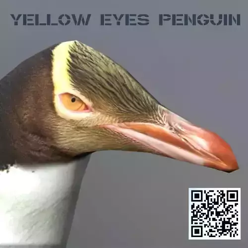 Yellow eyes penguin Low-poly 3D model