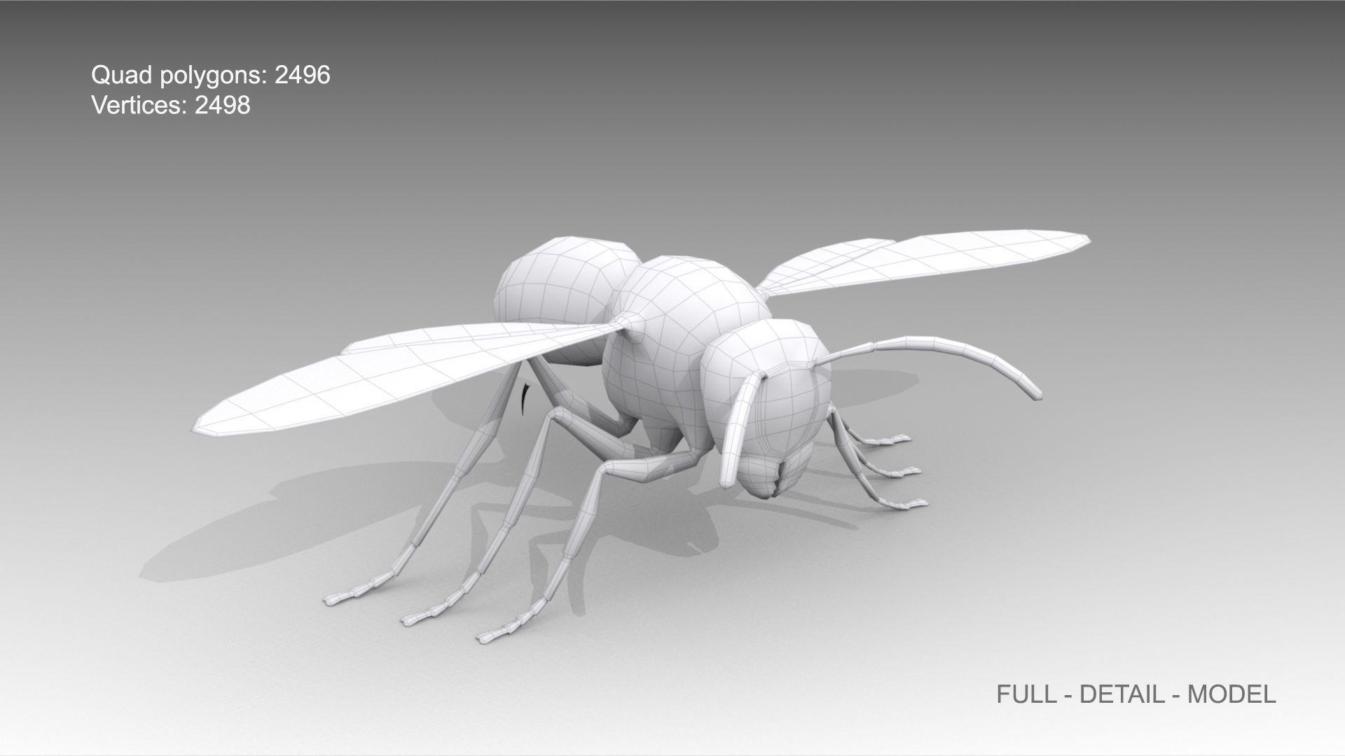 Hornet wasp Low-poly 3D model_7