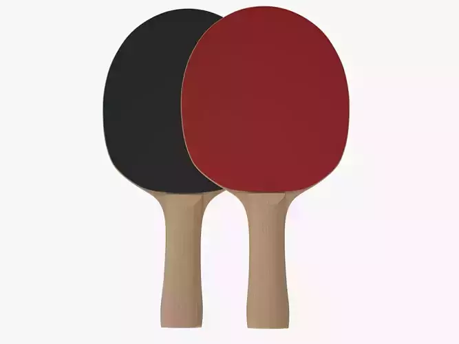 Ping Pong Paddle