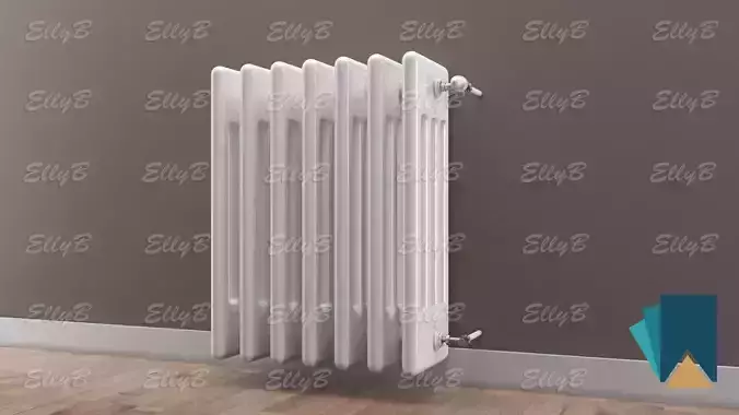 Radiator with Thermostatic Valve